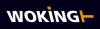 Woking C152038 - HIDRAULICA WOKING